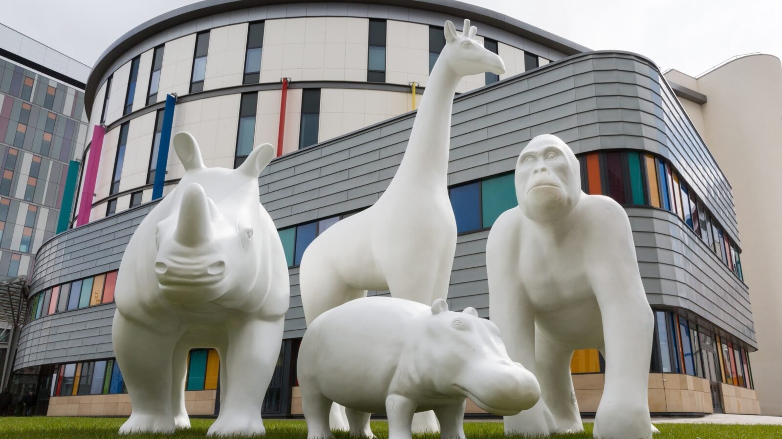 Blank Big Stampede Wild in Art Sculptures which includes a Rhino, Giraffe, Hippo and Gorilla