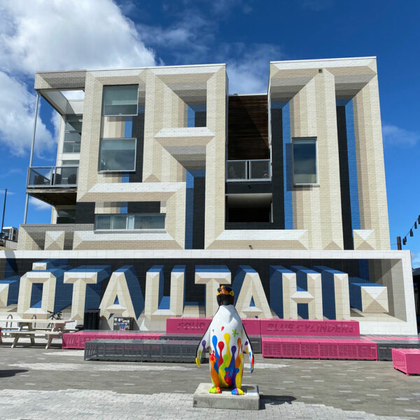 Penguin Sculpture in Christchurch