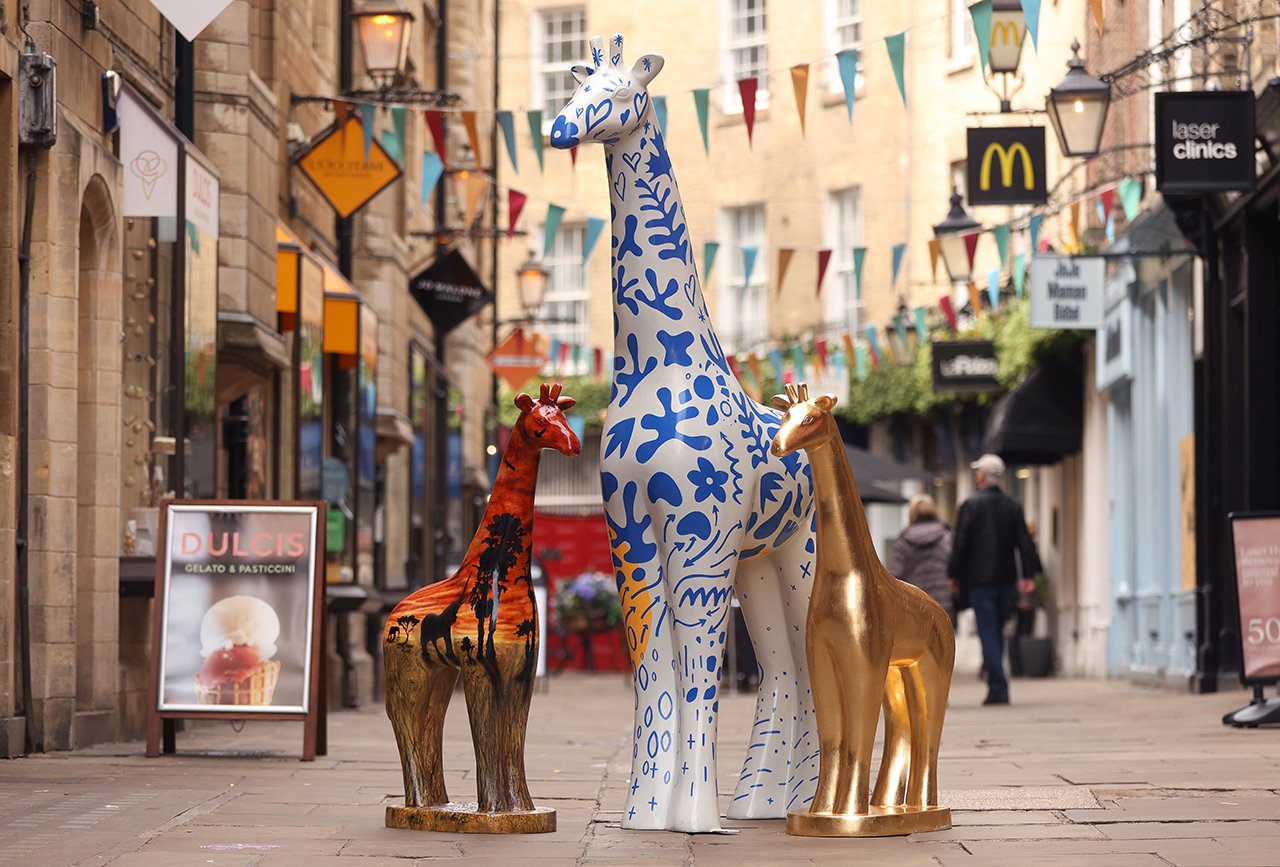 Cambridge Standing Tall